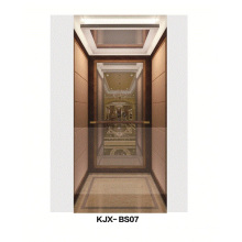 Ascenseur de villa avec acier inoxydable fini miroir (KJX-BS07)